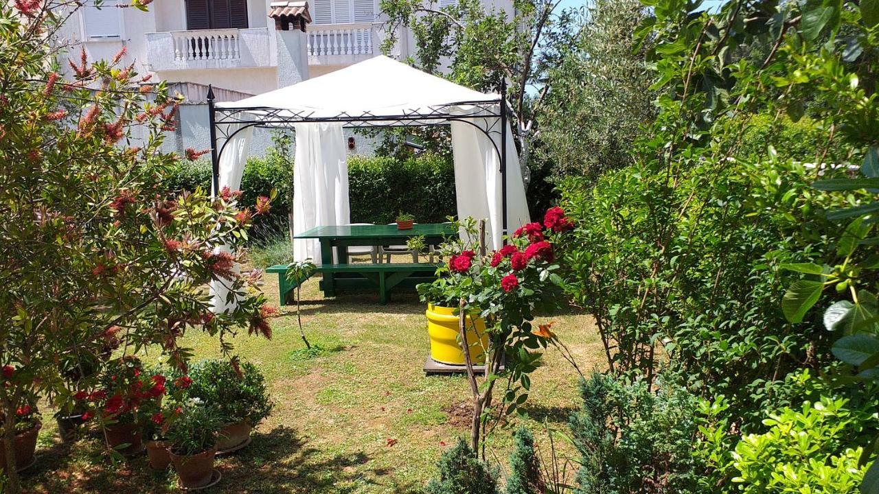 Apartment Manda Zadar Exterior photo